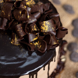Chocolate Champagne Cake