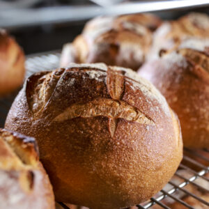 Sour Boule